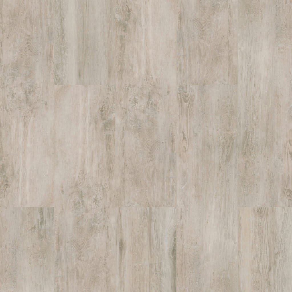 Lucas Canitia Paver carpet by MSI