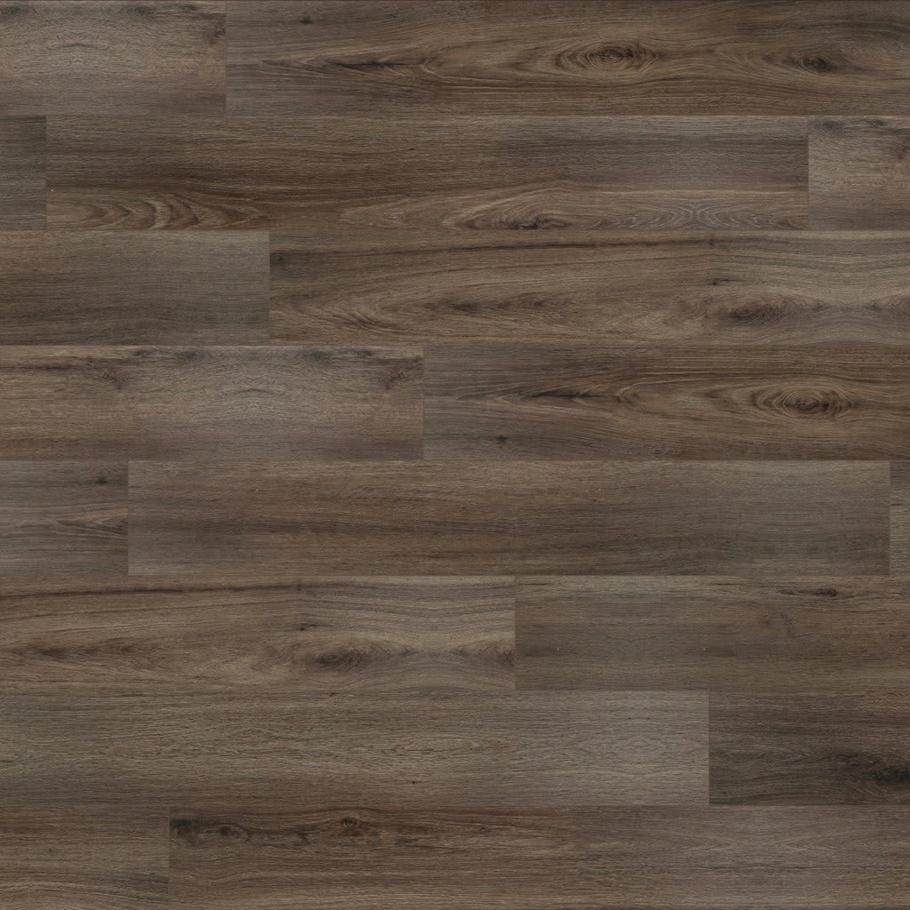 Whitmore Terrace 2/6 carpet by Mohawk