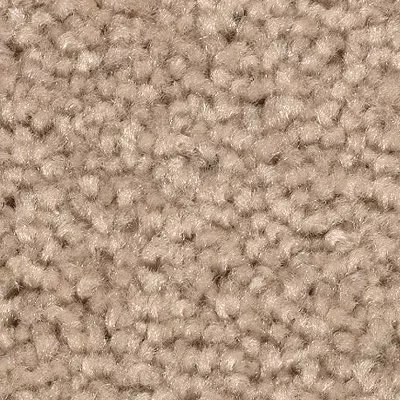 Treasure Valley carpet by Mohawk