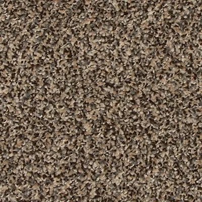 Refreshing Charm carpet by Mohawk