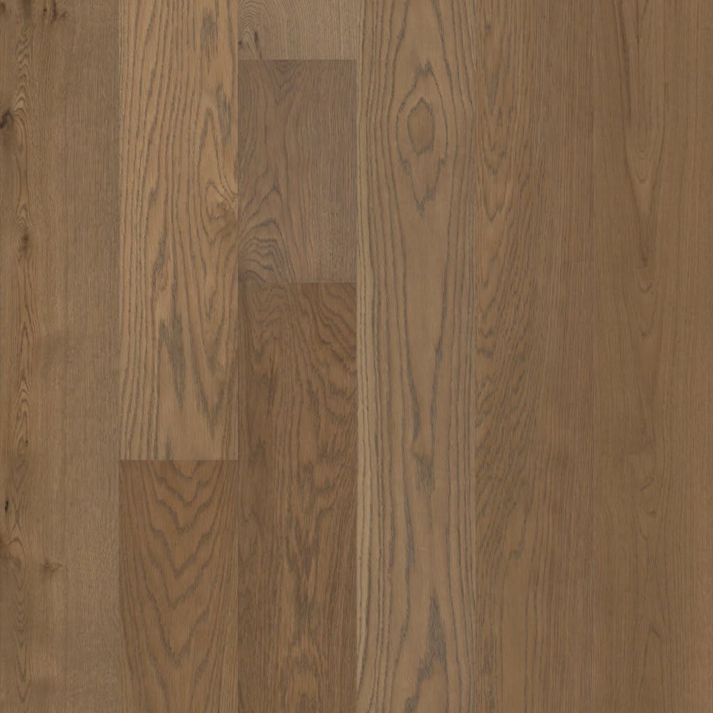 BUCKINGHAM carpet by Anderson Tuftex