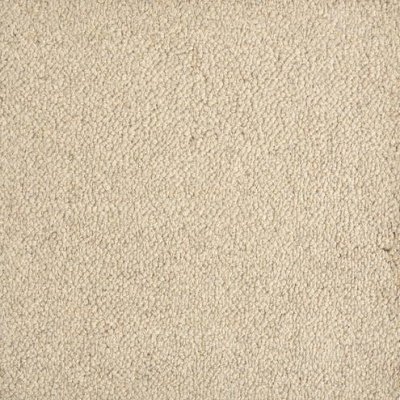 TRAILBLAZER carpet by Stanton