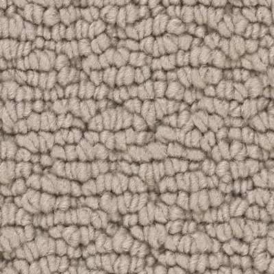 Tailored Essence carpet by Mohawk