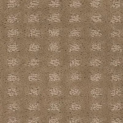 Outstanding Artistry carpet by Mohawk