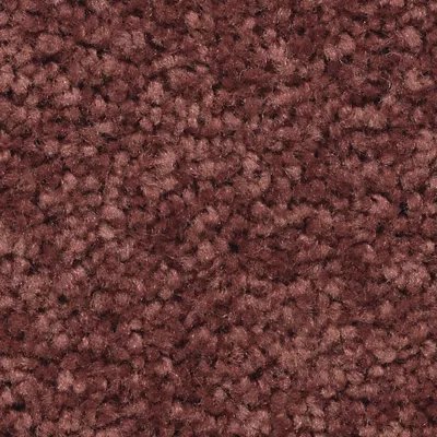 Treasure Valley carpet by Mohawk