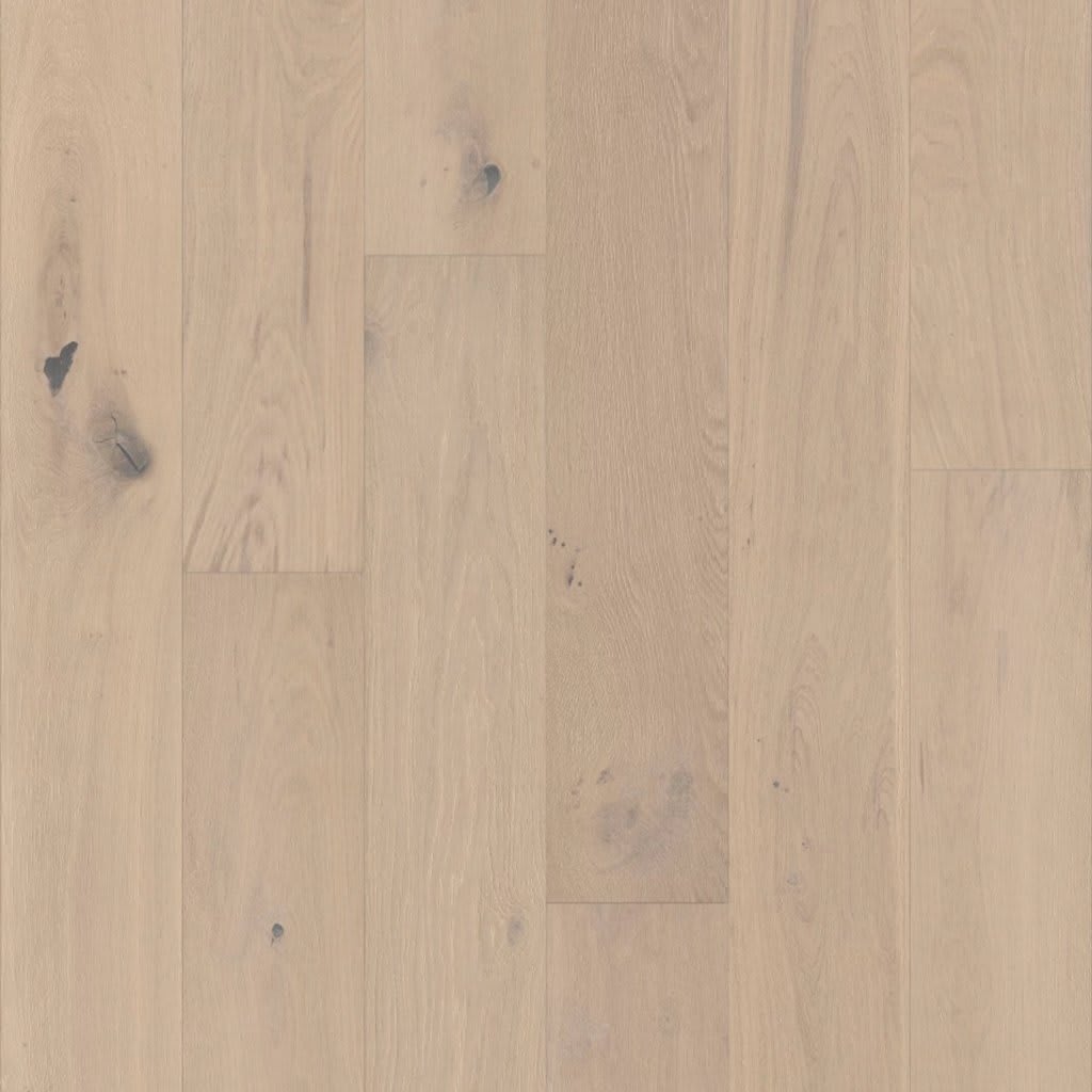 COAST TO COAST carpet by Anderson Tuftex