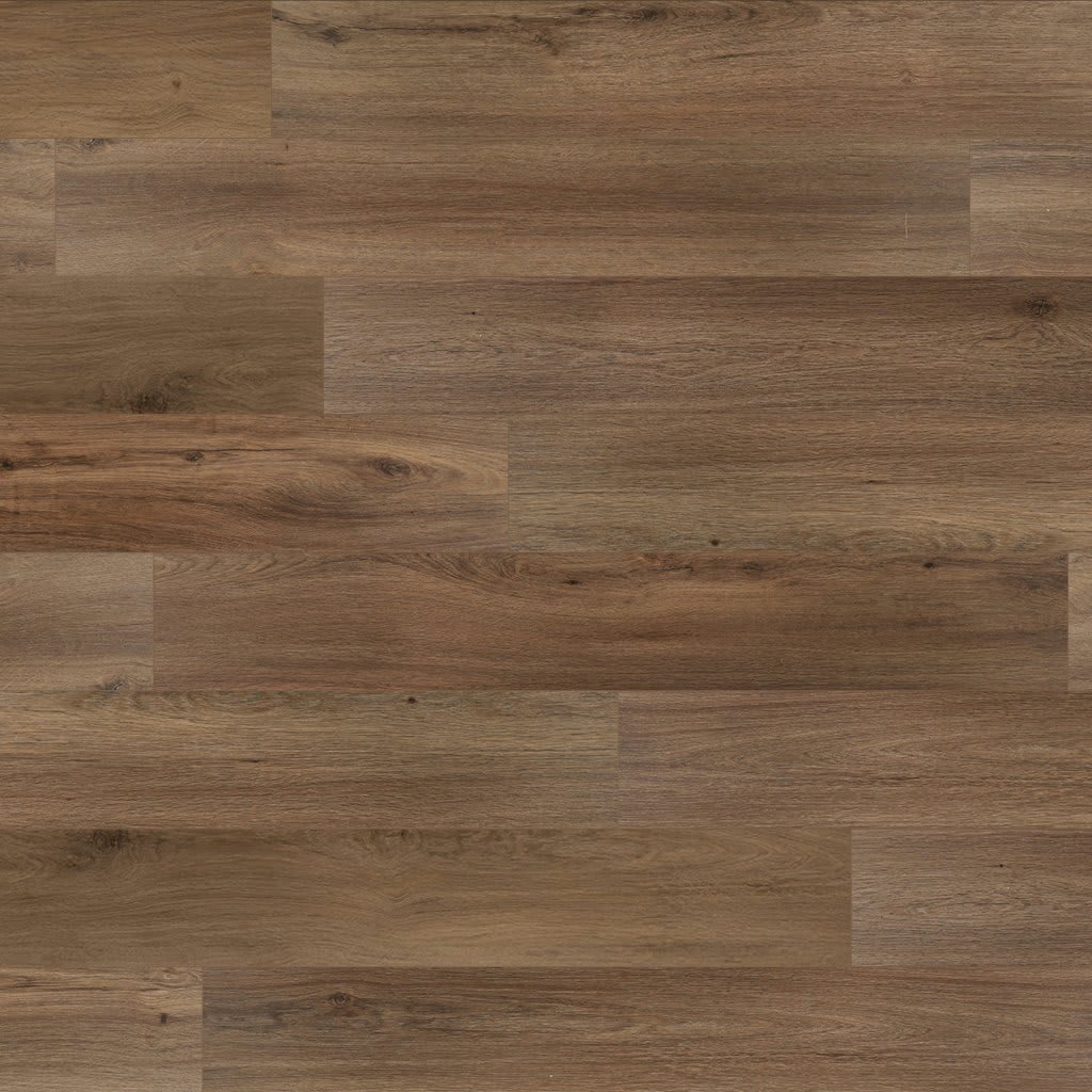 Whitmore Terrace LL carpet by Mohawk