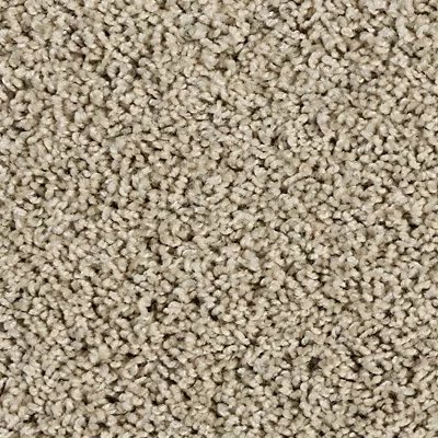 Sleek Tones carpet by Mohawk