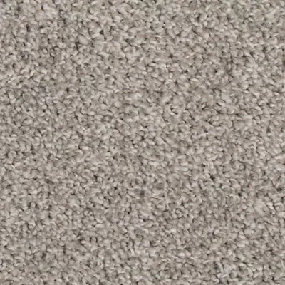 Revive carpet by Mohawk