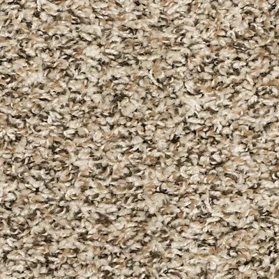 Roll With It carpet by Mohawk