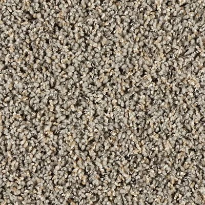 Exhilarating carpet by Mohawk