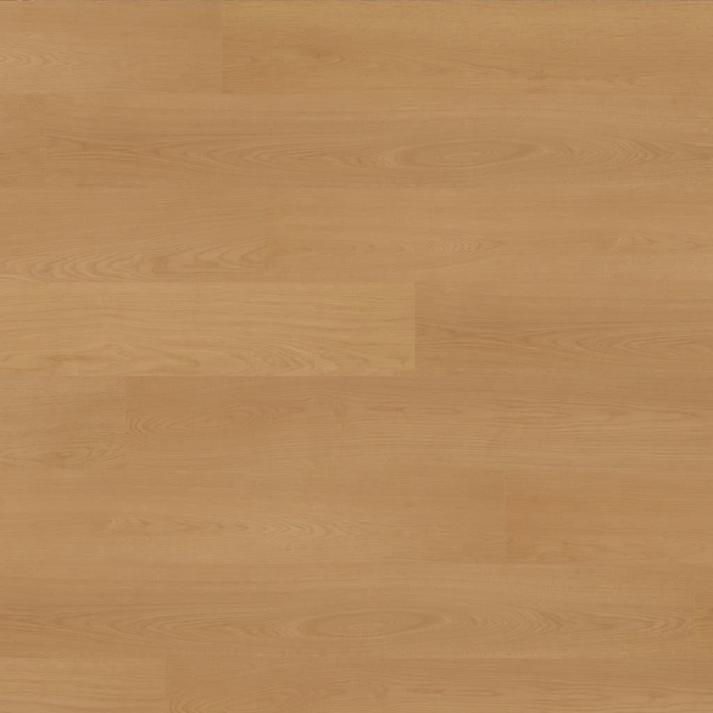 Oxford Manor carpet by Mohawk