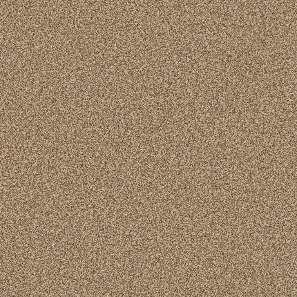 Bella Nova carpet by Anderson Tuftex