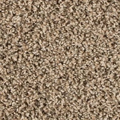 Classic Fit I carpet by Mohawk
