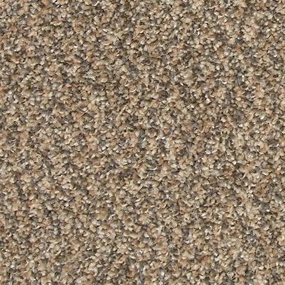 Refreshing Shades carpet by Mohawk