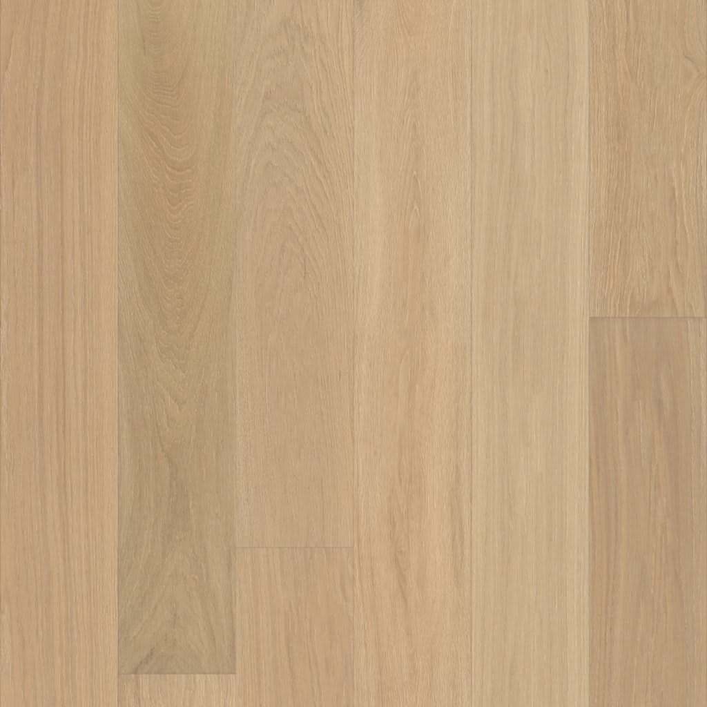 Carpentry Oak carpet by Anderson Tuftex