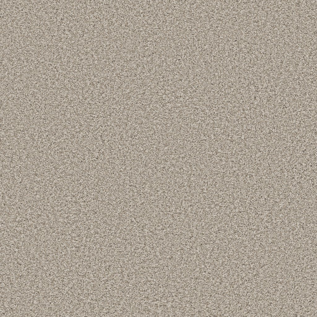 Terra Nova carpet by Anderson Tuftex