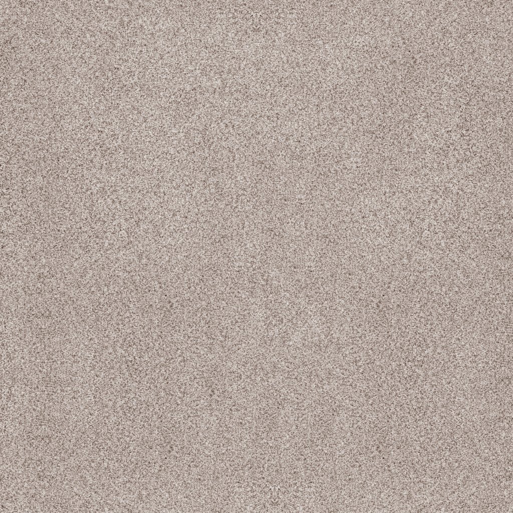 Sumptuous Ii carpet by Anderson Tuftex