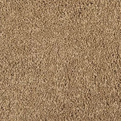 Fine Heritage carpet by Mohawk