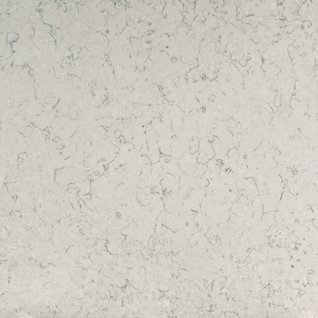 Carrara Mist - Slab carpet by MSI