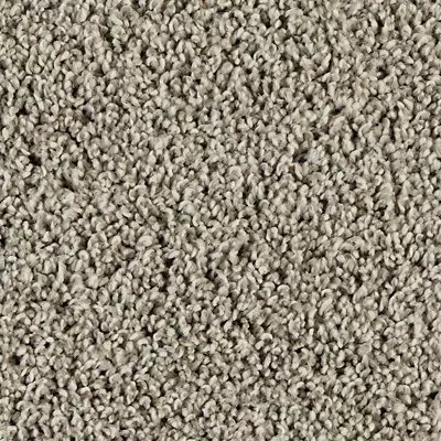 Classic Fit I carpet by Mohawk