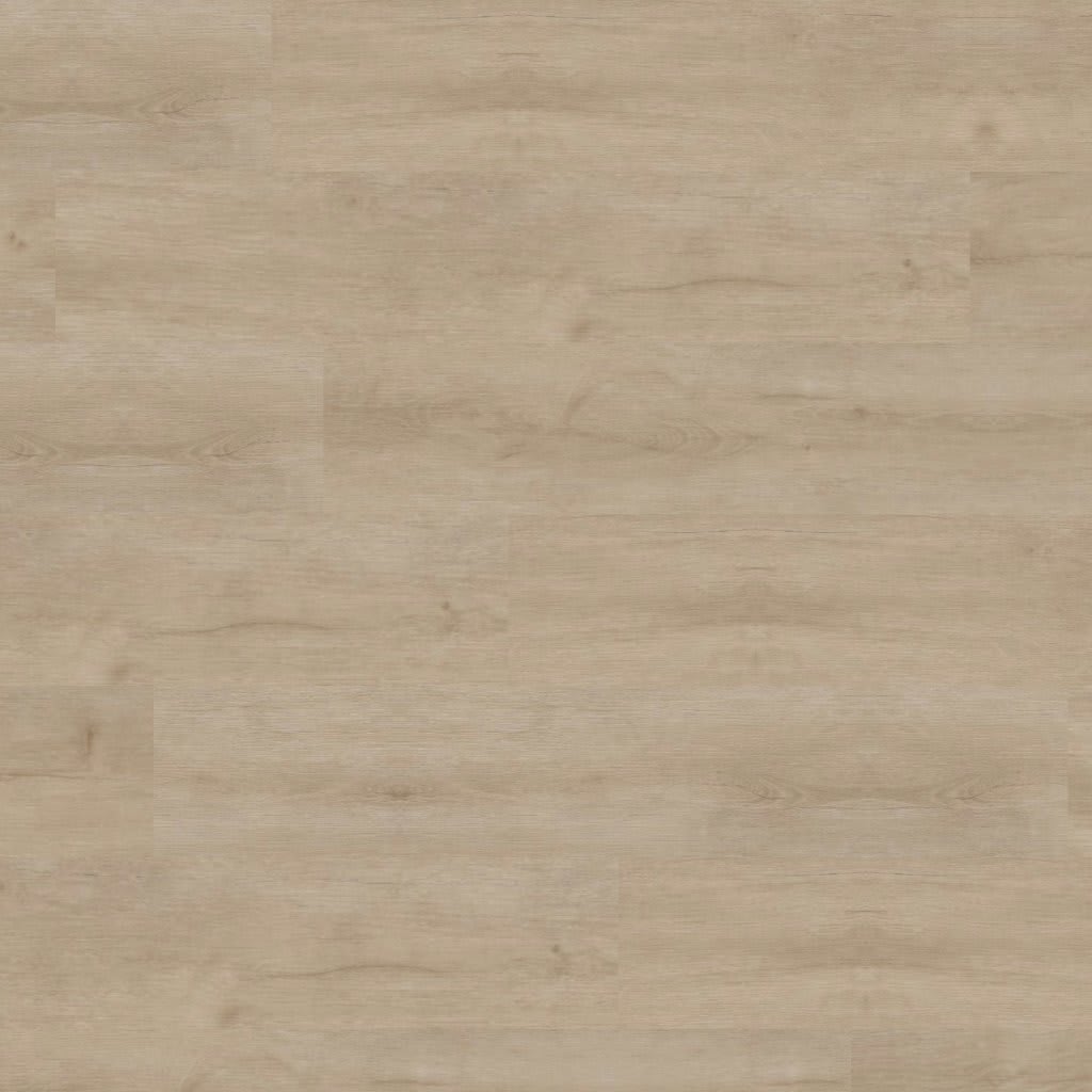 Studio Tifton carpet by MSI