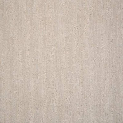 BEAUTIFUL APPEAL carpet by Stanton
