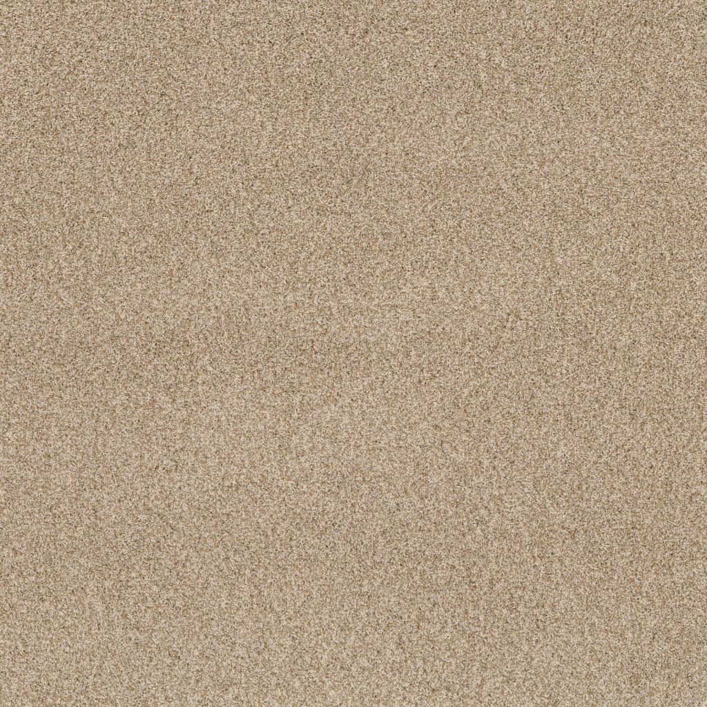 Via Nova carpet by Anderson Tuftex