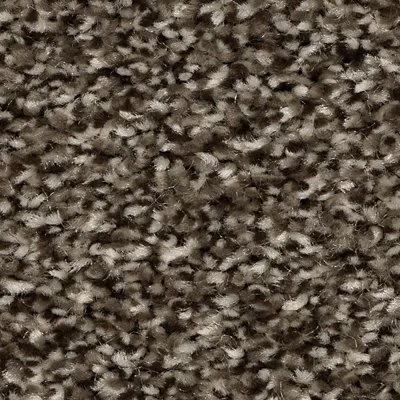 Refreshing Shades carpet by Mohawk