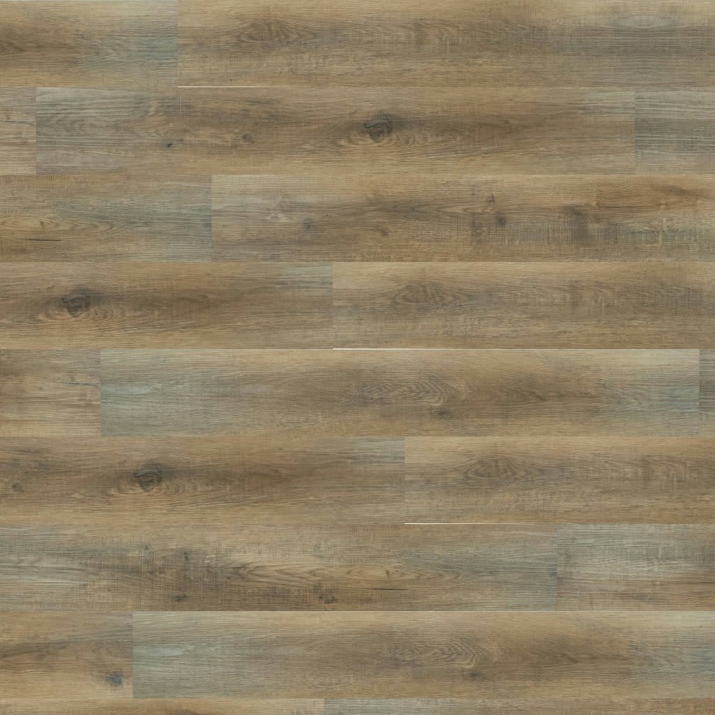 Ashton Maracay Brown carpet by MSI