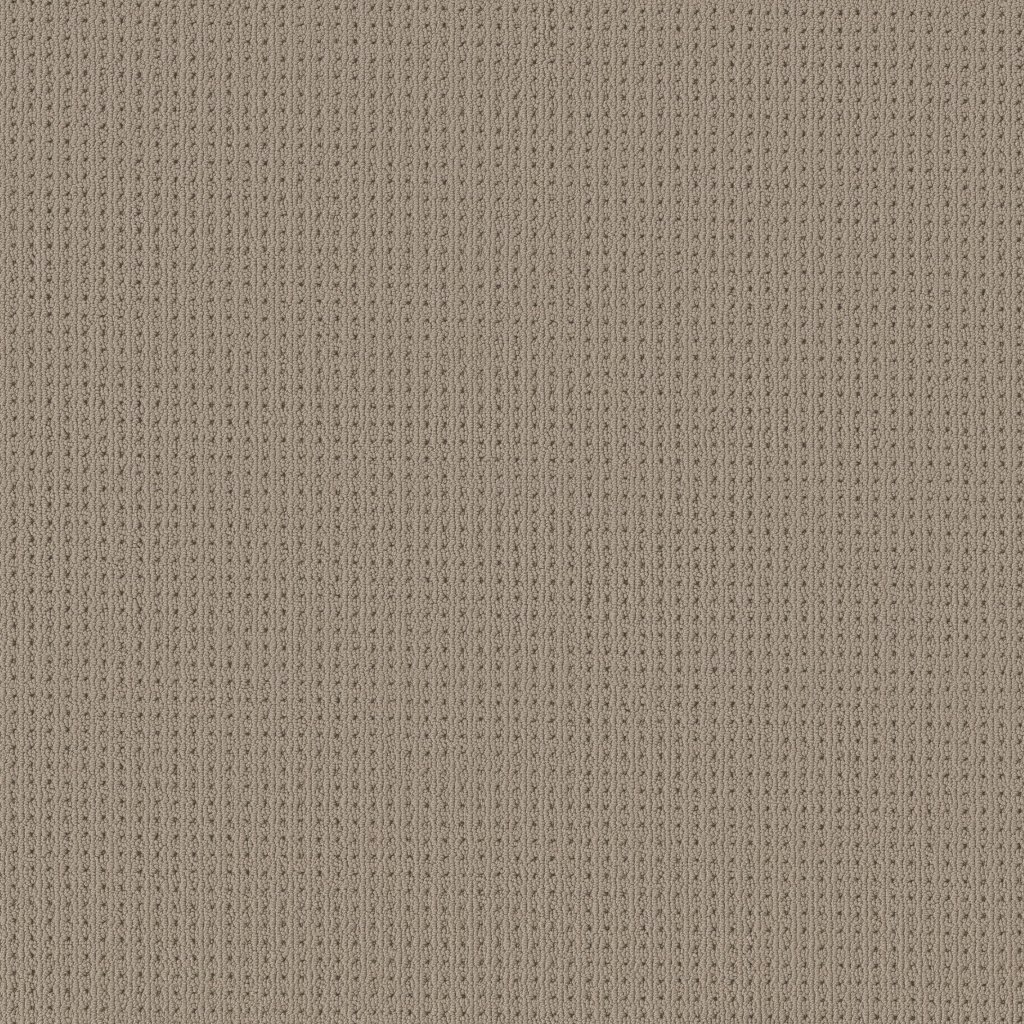 San Lucas carpet by Anderson Tuftex
