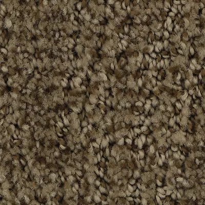 Stylish Trend carpet by Mohawk