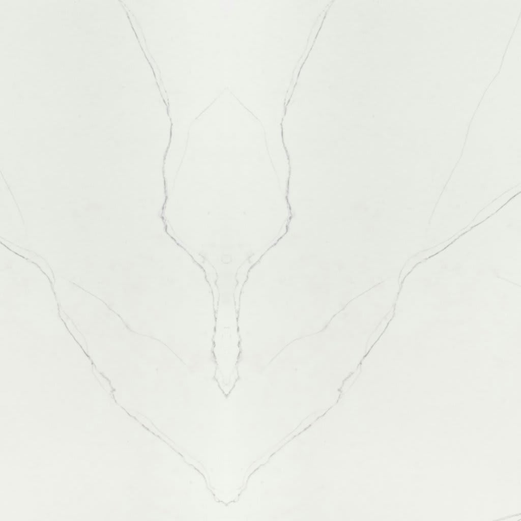 Calacatta Trevi - Slab carpet by MSI
