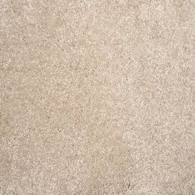 SUMPTUOUS 2 carpet by Stanton