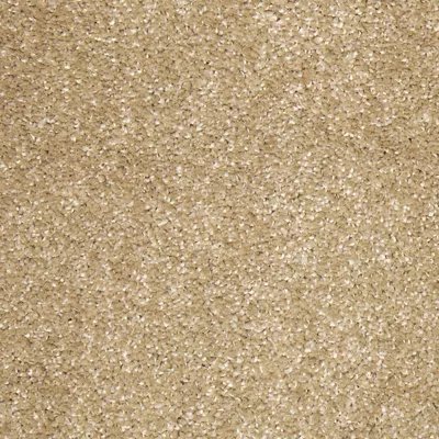 Silk Sensations carpet by Mohawk