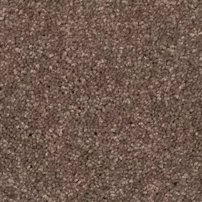 Tender Moment II carpet by Mohawk