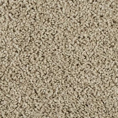 Classic Fit I carpet by Mohawk