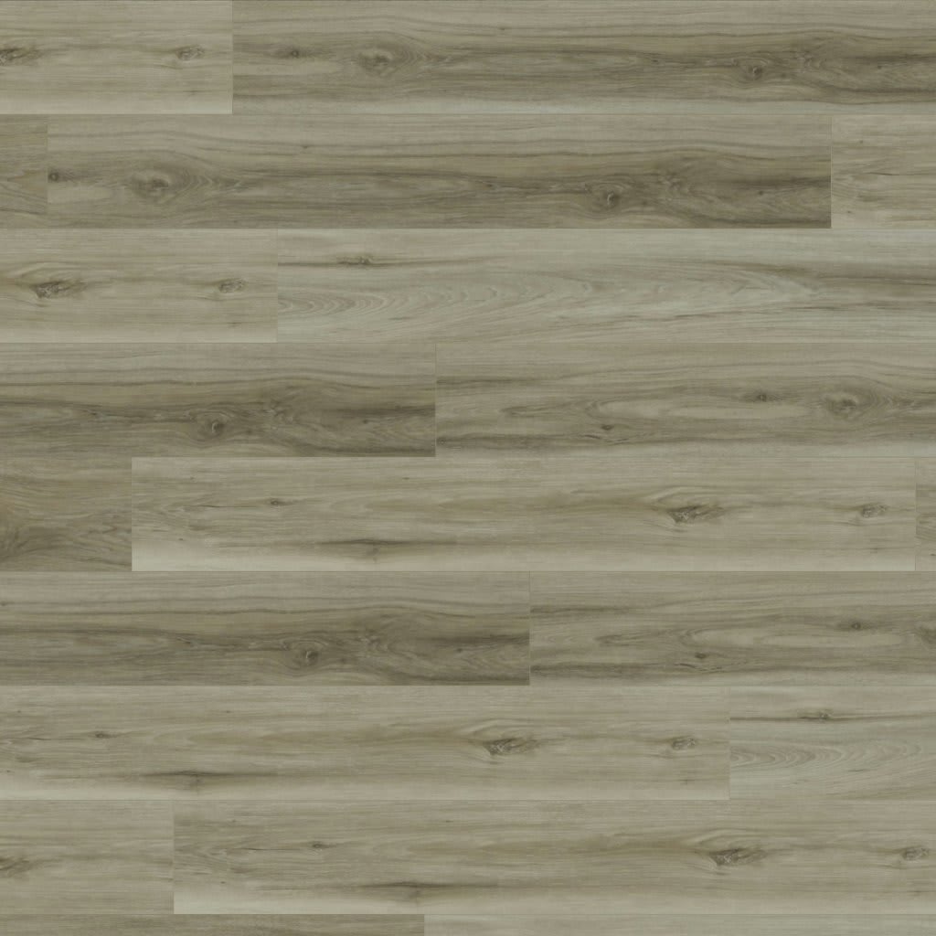 SIMPLISTIC carpet by Stanton