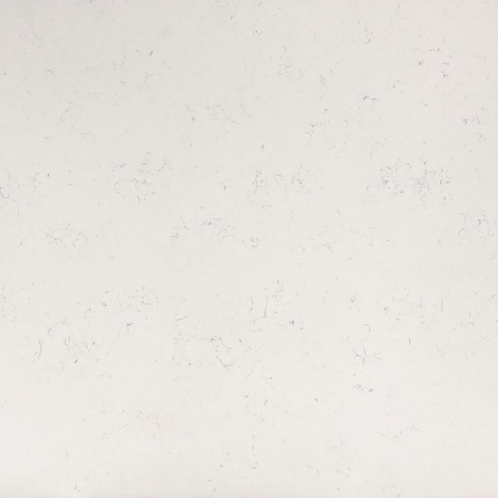 Carrara Marmi - Slab carpet by MSI