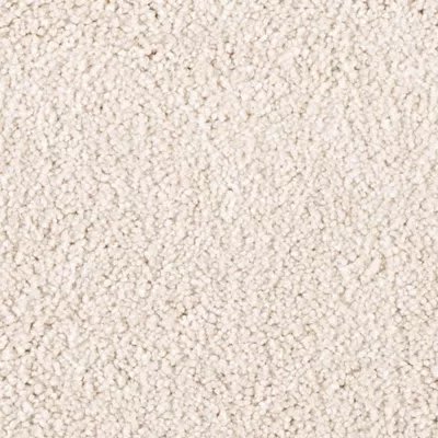 Fine Heritage carpet by Mohawk