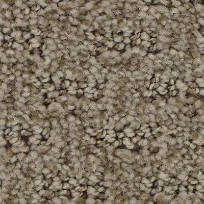 Stylish Tones carpet by Mohawk