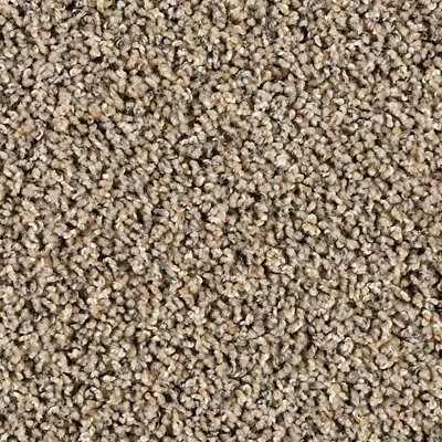 Exhilarating carpet by Mohawk