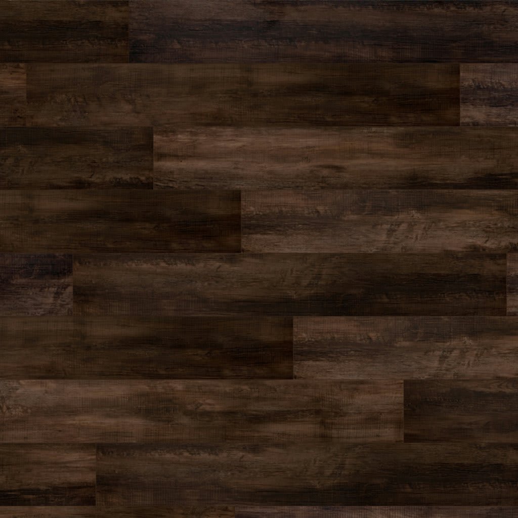 Explorer's Cove carpet by Mohawk
