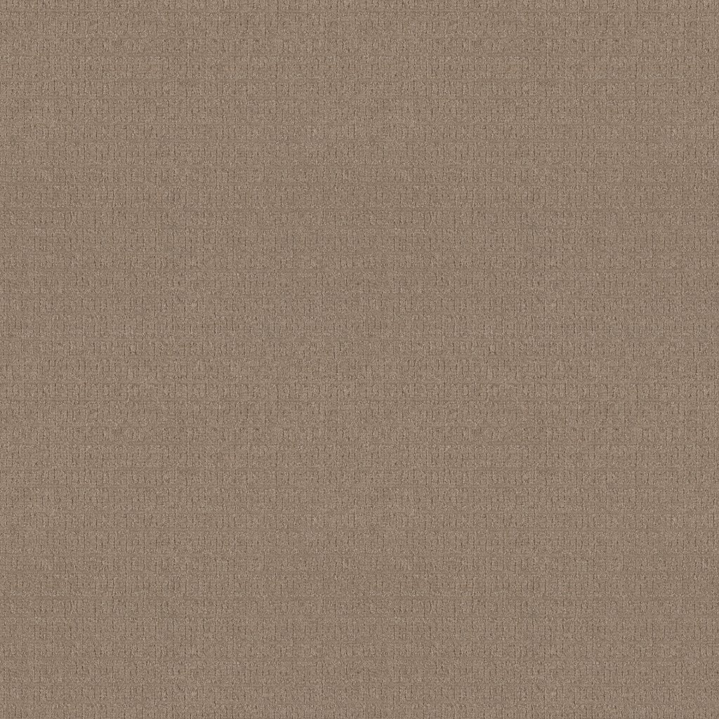 Vignette carpet by Anderson Tuftex