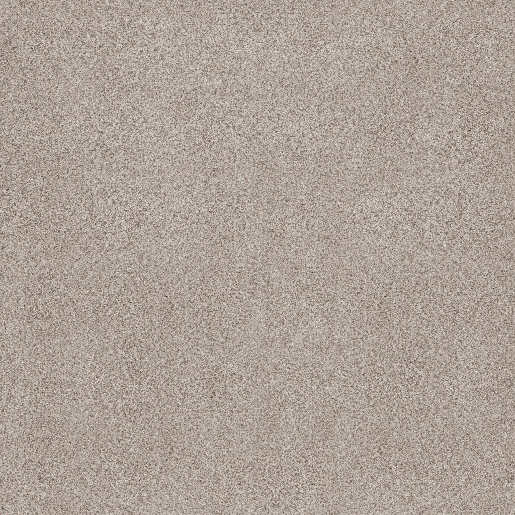 Sumptuous I carpet by Anderson Tuftex