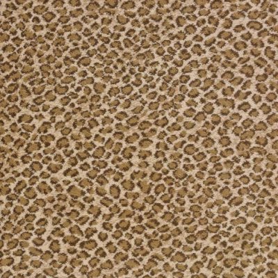 SAFARI DUNES carpet by Stanton