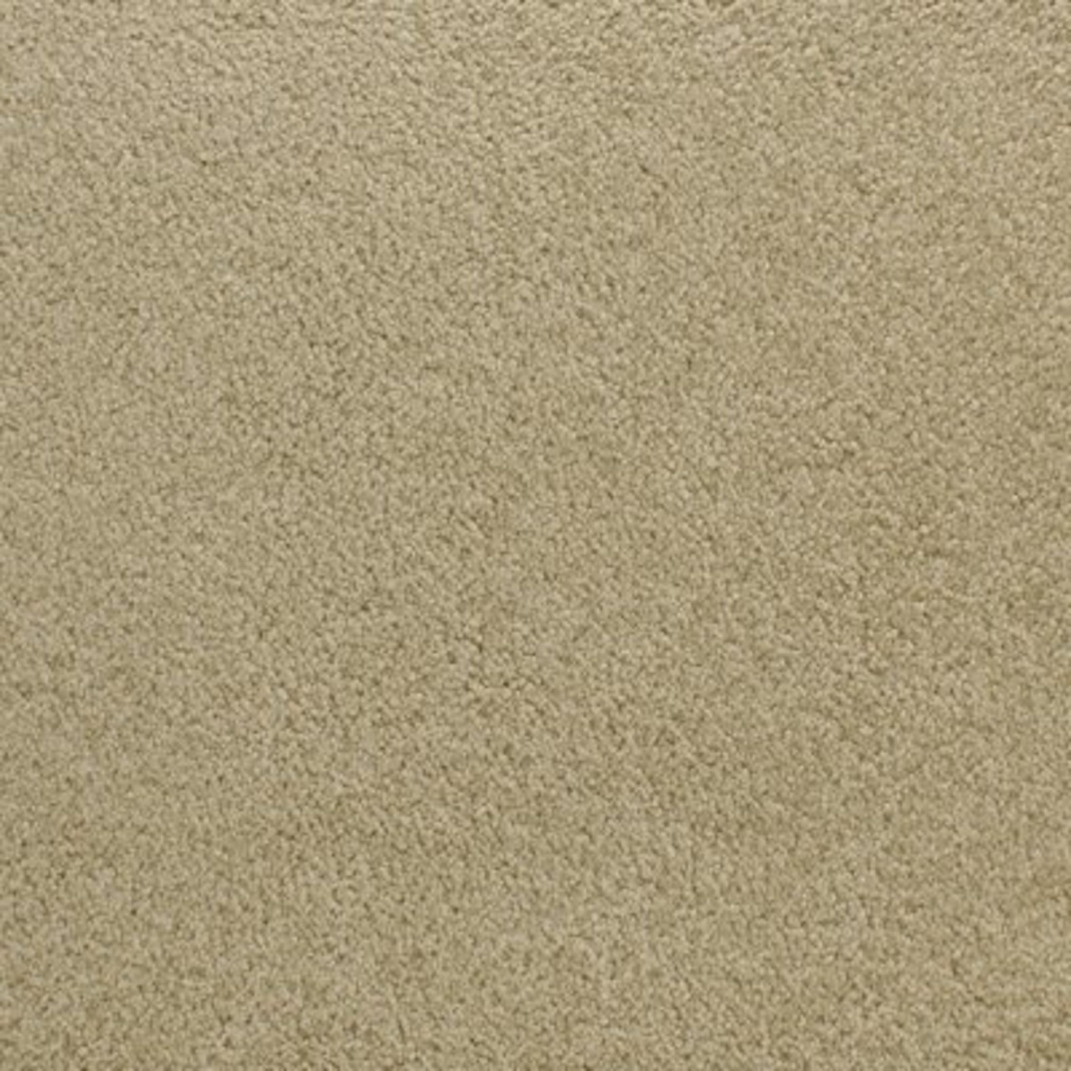 Accolade carpet swatch