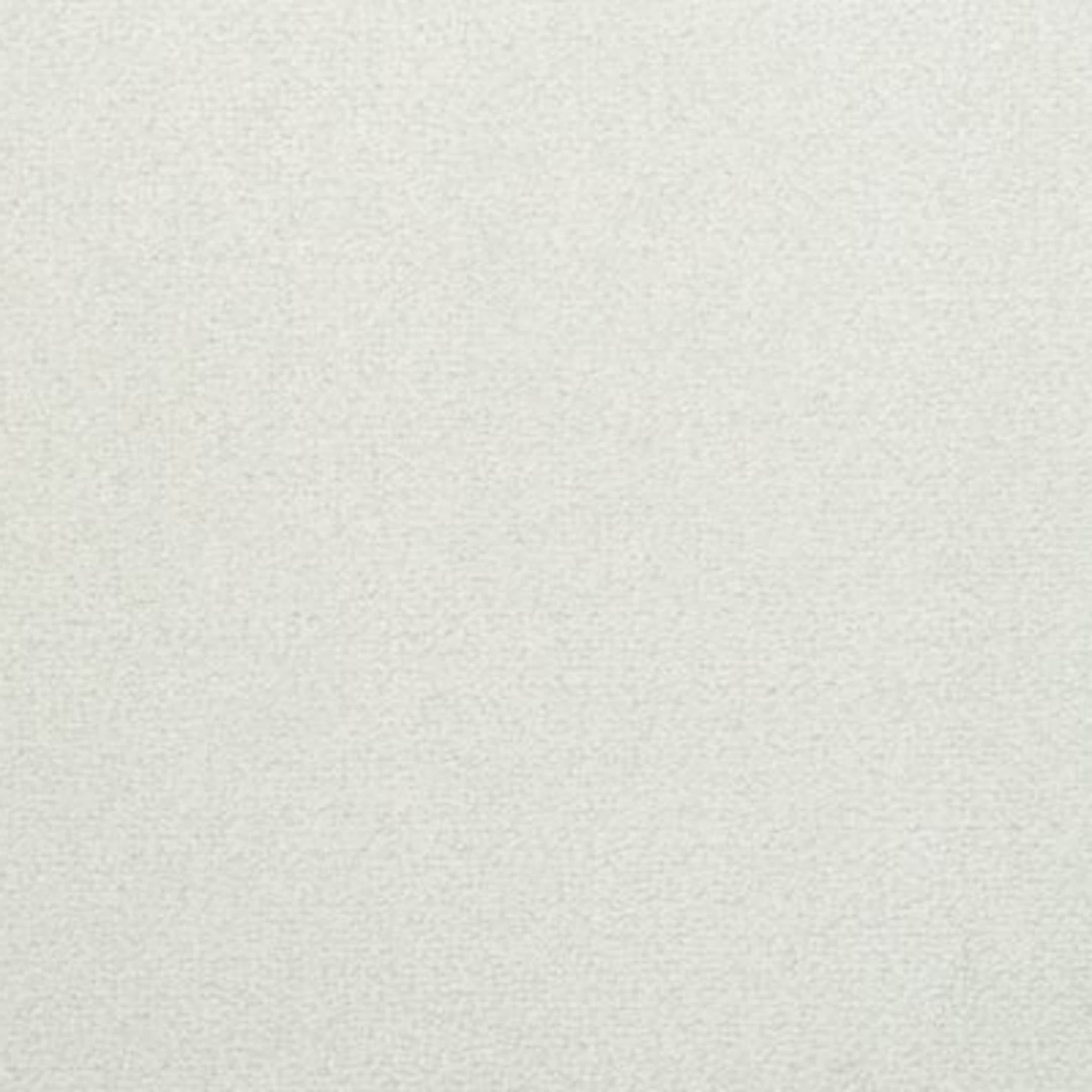 Captiva carpet swatch