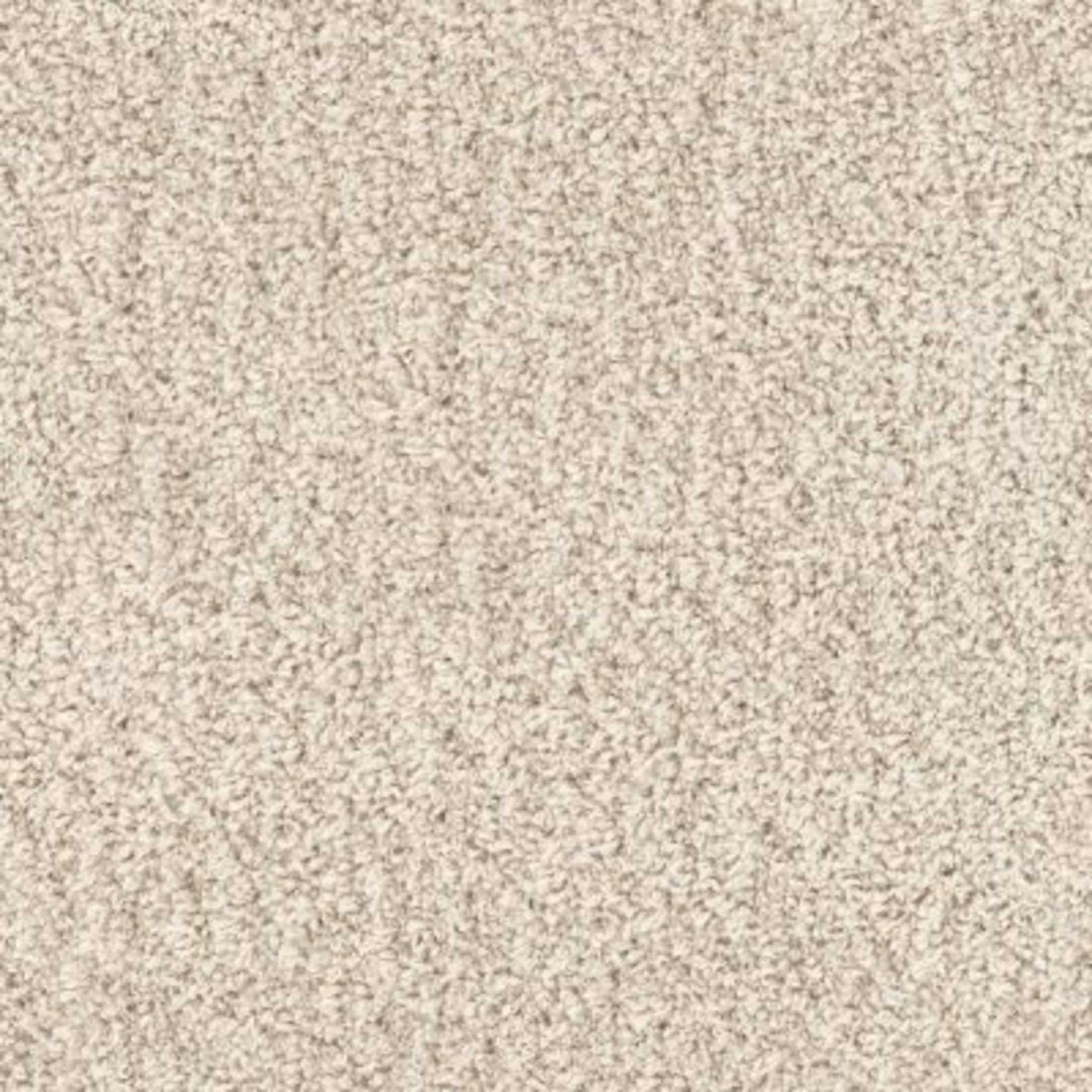 Luxe carpet swatch