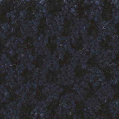 Seurat carpet by Masland
